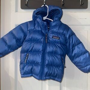 Patagonia Vibrant Blue Infant Jacket